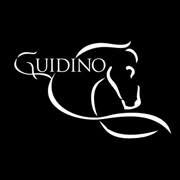 D.E.M Equitazione - Centro Equestre Del Guidino, Besana in Brianza orari di apertura
