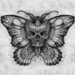 DDT Tattoo, Cento orari di apertura