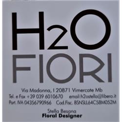 H2O Fiori, Vimercate orari di apertura