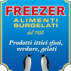 FREEZER ITTICA E ALIMENTI SURGELATI DAL 1988, Diano Marina orari di apertura