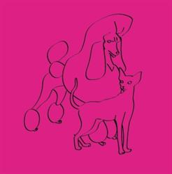 Wonderfulpet toelettatura e boutique di Marina Battistini, Rubiera orari di apertura