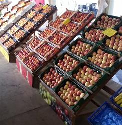 L'angolo Della Frutta 2, Tremestieri Etneo orari di apertura