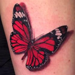 Malavida Tattoo, Buccinasco orari di apertura