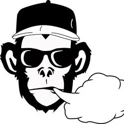 MonkeySvapo, Mestrino orari di apertura