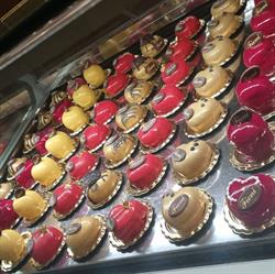 Bar Pasticceria Gelateria FIENI di FIENI Roberto, Focene orari di apertura