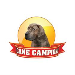Centro Cinofilo Cane Campione, Riano orari di apertura