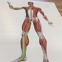 Studio di Fisioterapia Sommacampagna, orari di apertura