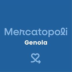 Mercatopoli Genola, orari di apertura