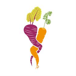 Lo famo sano - Veg & Vegan, Pomigliano d'Arco orari di apertura