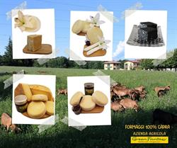 GreenFantasy Agriturismo Ristorante Azienda Agricola Punto Vendita Aziendale, Castiglione Olona orari di apertura