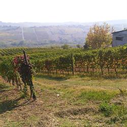 Dègusto, Varedo orari di apertura