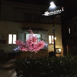 Hanami, Fabriano orari di apertura