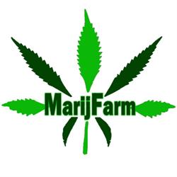 Marijfarm, Fiumicino orari di apertura