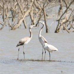 Riserva Naturale San Giuliano, Miglionico orari di apertura