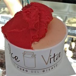 Dolce Vita, Opera orari di apertura