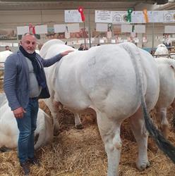 Macelleria Rufolo, Oliveto Citra orari di apertura