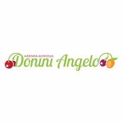 Azienda Agricola Donini Angelo, San Cesario sul Panaro orari di apertura
