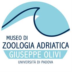 Museo di Zoologia Adriatica Giuseppe Olivi, Chioggia orari di apertura