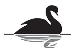 Irish Pub The Black Swan, Pieve a Nievole orari di apertura