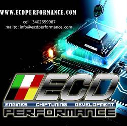 Ecdperformance, Oria orari di apertura