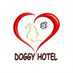 Doggy Hotel, Casaleone orari di apertura