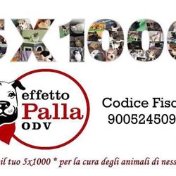 Effetto Palla Onlus, Oristano orari di apertura