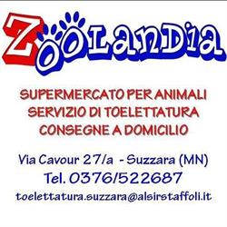 Zoolandia Suzzara, orari di apertura