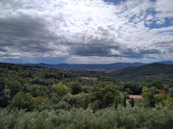 Immobiliare Le Rocche, Roccatederighi orari di apertura