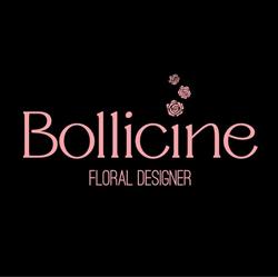 Bollicine, Torricella Peligna orari di apertura