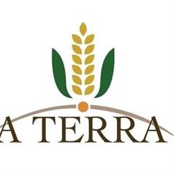 A Terra, Gambassi Terme orari di apertura