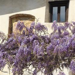 AgroPobitzer, Malles Venosta orari di apertura