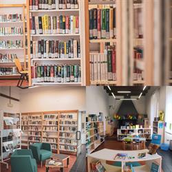 Biblioteca Comunale F. Tarchi, Pessano con Bornago orari di apertura