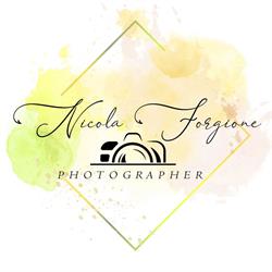 Nicola Forgione Photographer, Foglianise orari di apertura