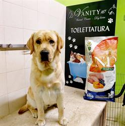 Vanity Pet di Francesco Castilletti, Mazara del Vallo orari di apertura