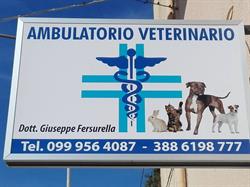 Ambulatorio veterinario-Dott. Giuseppe Fersurella, Fragagnano orari di apertura