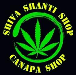 Shiva Shanti Shop Canapa Shop, Fossano orari di apertura
