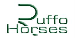 Ruffo horses, San Felice sul Panaro orari di apertura