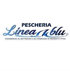 Linea Blu srls, Neviano orari di apertura