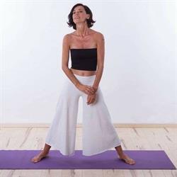 Il Circolo dello Yoga, Cusano Milanino orari di apertura