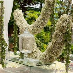 Clorofilla floral style, Gesualdo orari di apertura