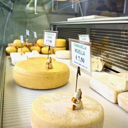 Società Agricola Le Campagnole, Cologno al Serio orari di apertura