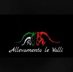 Allevamento LE VALLI, Graffignano orari di apertura