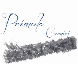 Primula Cornici, Carmiano orari di apertura