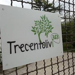 Trecentolivi b&b, Senigallia orari di apertura