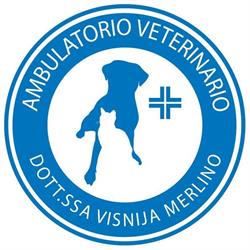 Ambulatorio Veterinario Dott.ssa Visnija Merlino, Osimo orari di apertura
