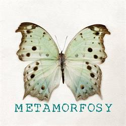 Metamorfosy - Livorno, orari di apertura