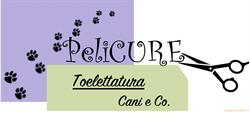 Toelettatura Pelicure, Orzinuovi orari di apertura
