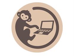 DarwinNet Srl - Consulenza Informatica, Domegliara orari di apertura