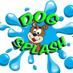 Dog Splash amici con la coda Casale Sul Sile, Casale sul Sile orari di apertura