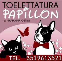 Papillon Toelettatura, Cantù orari di apertura